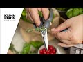 Kuhn Rikon Kitchen Shears compact Grey