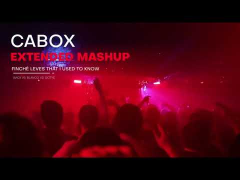 Avicii Vs. Blanco Vs. Gotye - Finchè Leves That I Used To Know (Cabox Extended MashUp)