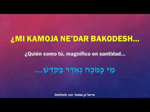 Shani Ferguson - Mi Kamocha - מי כמכה