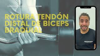 REHABILITACIÓN ROTURA TENDÓN DISTAL DE BÍCEPS BRAQUIAL