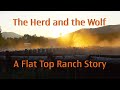 The Herd and the Wolf  A Flat Top Ranch Story