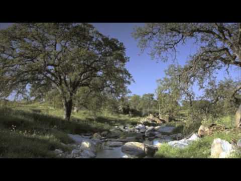 Cosme Silva (Junto a Ti)