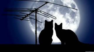Carlos Gardel - Mi noche triste (Tango)