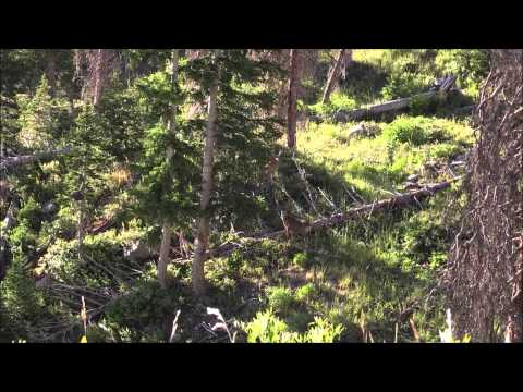 Archery Opening Morning 2014