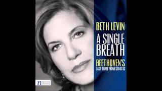 A Single Breath - Beth Levin