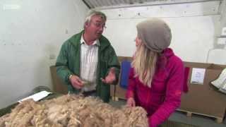 preview picture of video 'Melford green Alpacas - Countryfile 17.11.13'