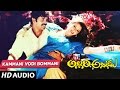 Allari Alludu Songs - Kammani Vodi Bommani -  Nagarjuna, Nagma, Meena, Vanisri | Telugu Old Songs