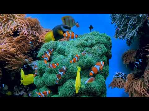 Best 90s EDM Mix for 2023 - 01 Remix Songs to Hype Your Day #90s #edm #remix #shorts