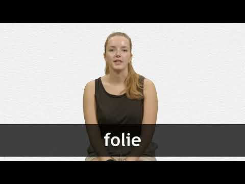 Translate FOLIE from French into English