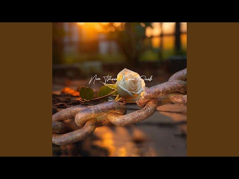 Nim Tshuav Daim Duab