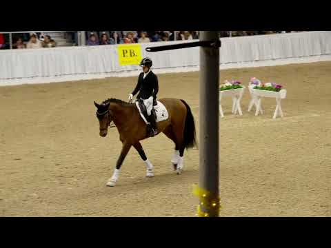 04 Emperador BC und 05 Eventyr PB Schau Verden 2023