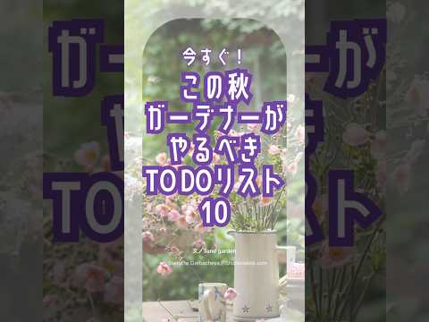 花の種を蒔くのに適した時期はいつですか?ヒックエヌンクは5種スタート！  庭園