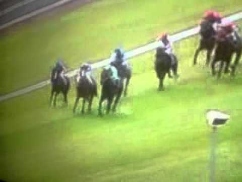 Slumdogmillionaire win at taree