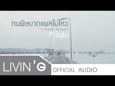 ผลกระทบใน finlepsin แรง วิธีการจัดเพื่อเพิ่มสมาชิก