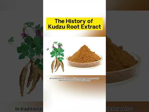 Pueraria Lobata Extract Powder