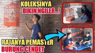 Download lagu SPESIALIS CENDET SEPUDI || KOLEKSI CENDETNYA KELAS SULTAN || Koleksi Yongky Peter Situbondo mp3