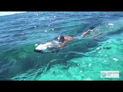 Rent a yacht in Eivissa!!!! Discover Global Yachting Ibiza.