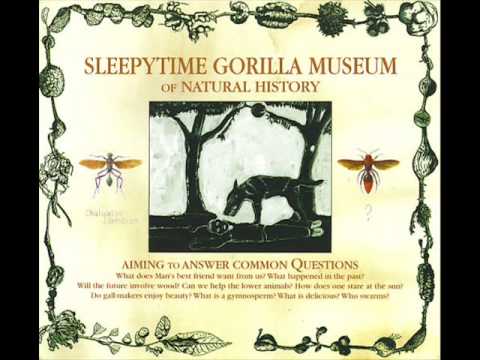 Sleepytime Gorilla Museum - A Hymn to the Morning Star