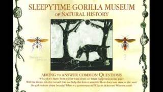 Sleepytime Gorilla Museum - A Hymn to the Morning Star