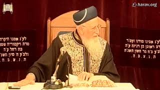 מסירות הנפש של אברהם אבינו והלכות ברך עלינו - פרשת לך לך תשס"ח - מרן הרב מרדכי אליהו (הרב מרדכי אליהו זצ"ל) - התמונה מוצגת ישירות מתוך אתר האינטרנט יוטיוב. זכויות היוצרים בתמונה שייכות ליוצרה. קישור קרדיט למקור התוכן נמצא בתוך דף הסרטון