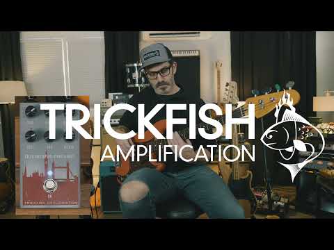 Trickfish Amplification Overdrive Preamp image 4