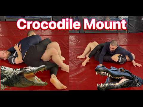 Crocodile Mount into Khabib Trap - Coach Zahabi