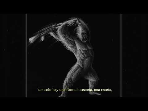 Solitario - Crítica a la ignorancia [Letra]