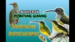 Download lagu MASTERAN PIJANTUNG GUNUNG SUARA JERNIH!!! (COCOK UNTUK MASTERAN SEGALA JENIS BURUNG) mp3 Download lagu MASTERAN PIJANTUNG GUNUNG SUARA JERNIH!!! (COCOK UNTUK MASTERAN SEGALA JENIS BURUNG) mp3