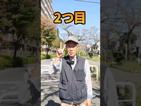 園芸 サヤエンドウ、菜園からキッチンまで