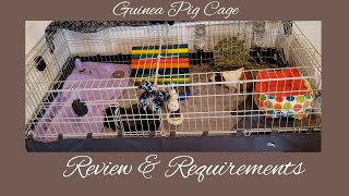 Guinea Pig Cage: General Requirements and Cage Review