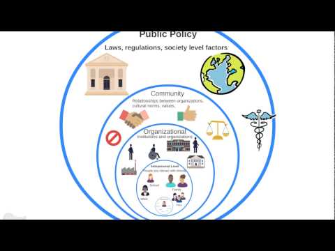 Intro to the Ecological Model