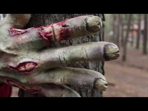 Zombie Rotted Latex Hands For Adults Video Review