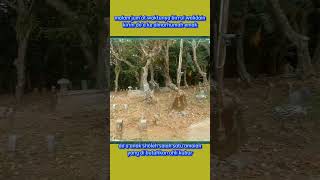 Download lagu Malam jum'at waktu yang tepat buat ziarah kubur || Birrul walidain #shorts mp3