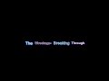 The Wreckage- Breaking through- Lyrics video ...
