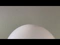 Balloon Episode 3969