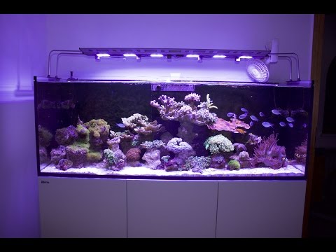 Simi23 S Reefer 450 Simi23 S Reefer 450