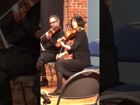 Electric Mayhem Classical