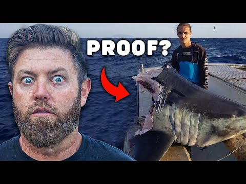 Did Megalodon Bite This Shark In Half? (Wildlife Expert Reacts)