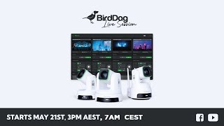 The Full BirdDog Lineup - Decoded