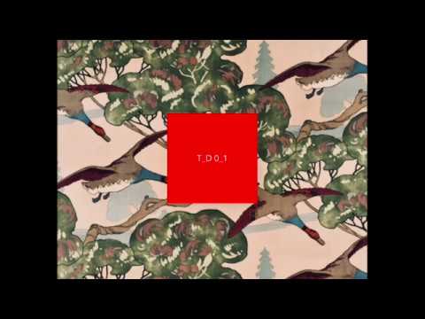 Tannhäuser Ducks - T_D_0_1 (Full Album)