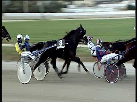 Trotto 15/11/2019 - 5ª corsa