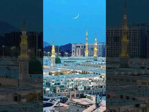 ❤️❤️❤️❤️