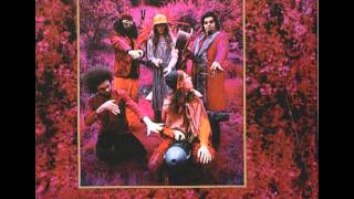 Captain Beefheart &amp; The Magic Band - My Human Gets Me Blues [Instrumental]