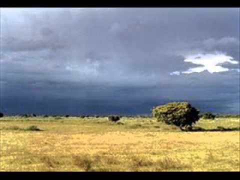 FG  Campo de Apure Sequito - Francisco Montoya