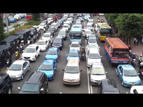 Apakah telur mempengaruhi potensi Calamus tingtur dengan impotensi