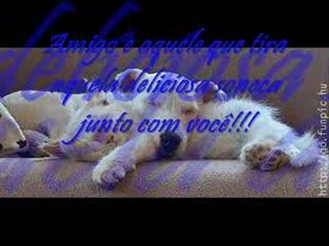 A Verdadeira amizade