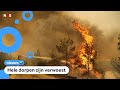 Heftige bosbranden in Turkije
