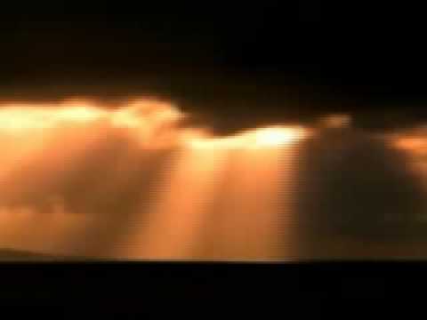 Enzyme Black - Simple