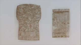 7. Natural Honeycombs: Cork; Foams: Linear Elasticity