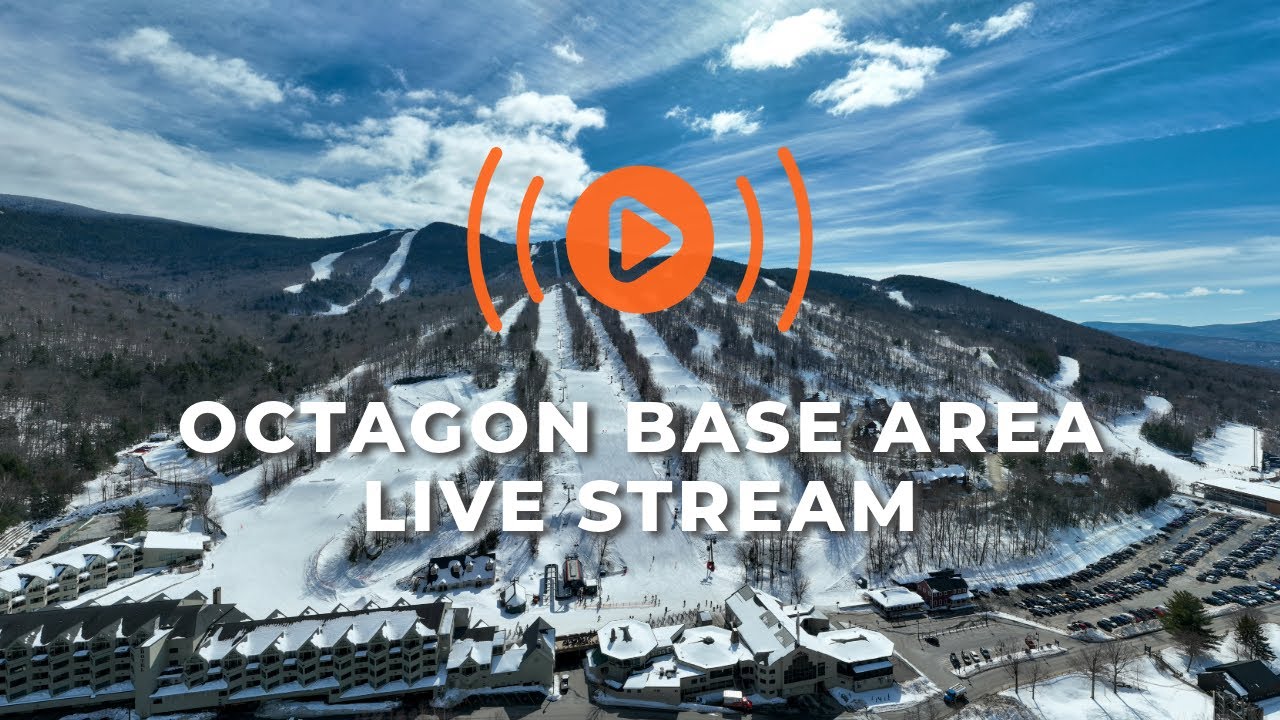 Live at Loon | Octagon Base Area
